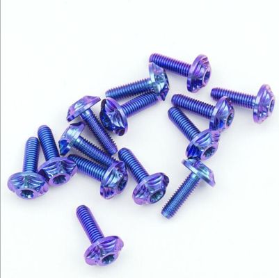 สกรูโลหะผสมไทเทเนียมรถจักรยานยนต์ Tc4 ไล่ระดับสีน้ำเงินม่วงมาตรฐาน ANSI ASME