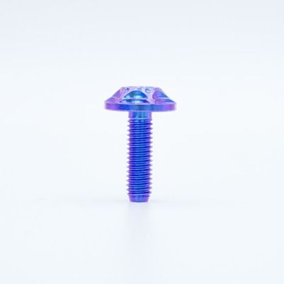 สกรูโลหะผสมไทเทเนียมรถจักรยานยนต์ Tc4 ไล่ระดับสีน้ำเงินม่วงมาตรฐาน ANSI ASME