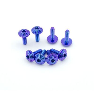 สกรูโลหะผสมไทเทเนียมรถจักรยานยนต์ Tc4 ไล่ระดับสีน้ำเงินม่วงมาตรฐาน ANSI ASME