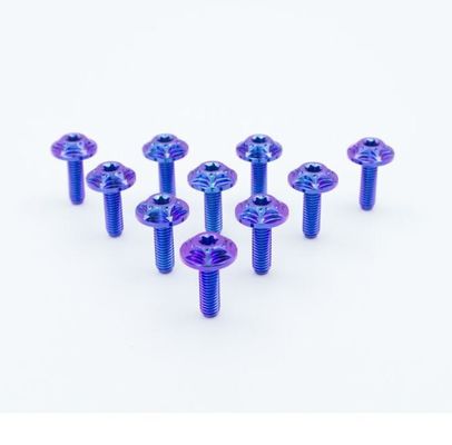 สกรูโลหะผสมไทเทเนียมรถจักรยานยนต์ Tc4 ไล่ระดับสีน้ำเงินม่วงมาตรฐาน ANSI ASME